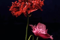 MJ Harper Katy England Benjamin A Huseby Charlie Gosling