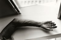 Gilded Lilies by Steph Wilson, photo book