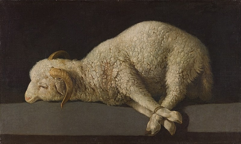 Agnus Dei